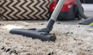professional deep cleaning carpet to remove allergens in residential home
