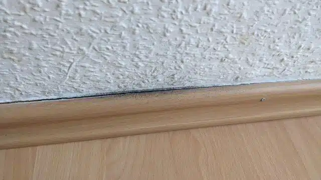 dust buildup baseboards Sacramento home