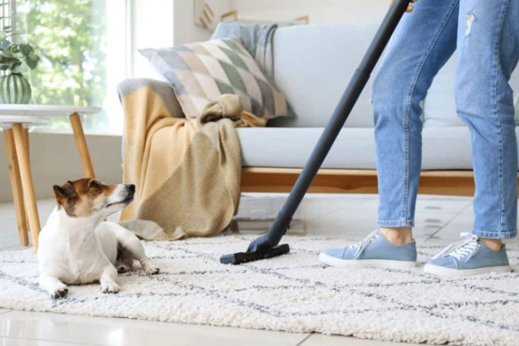 keeping home clean Sacramento summer
