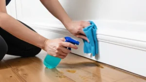 detailed fall cleaning before hosting holiday guests